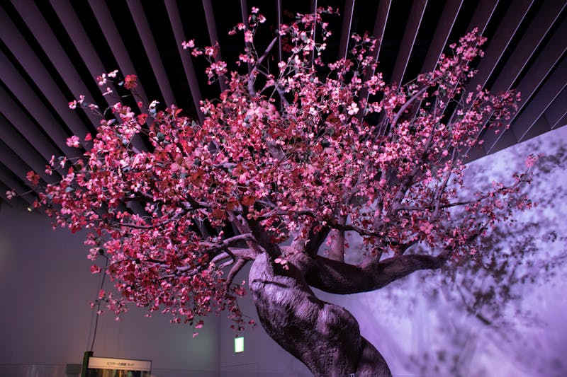 Práticas de Mindfulness